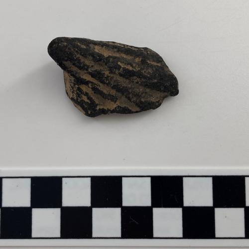 Color photo, 1 Indigenous ceramic tetrapod fragment with incised lines.