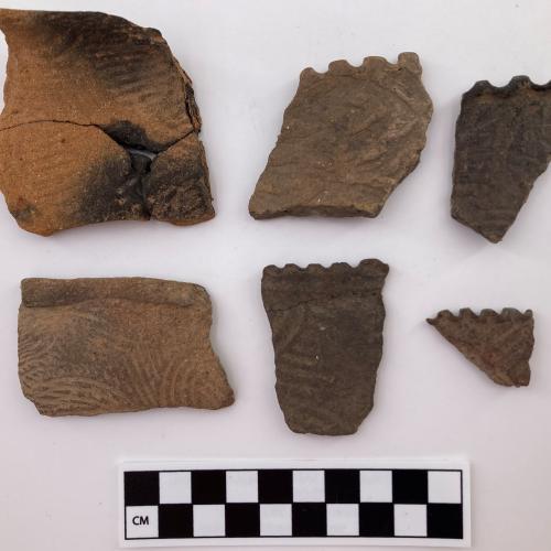 Color photo, 6 Indigenous rim fragments with both curvilinear and linear stamp indentations, 4 have wavy notched rims, and 2 are rounded.