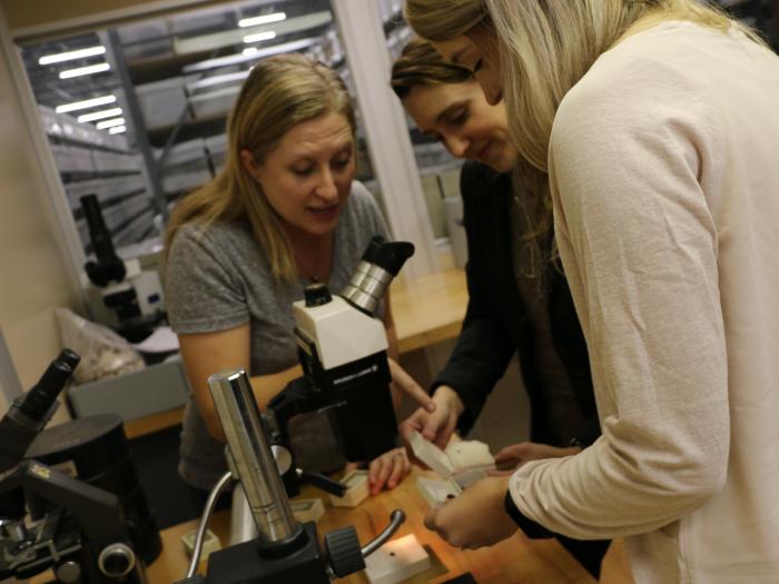 three women looking at botanical remains. a microscope is to the left