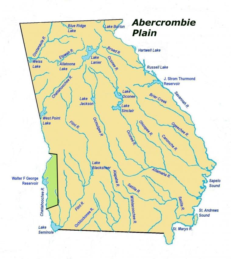 abercrombieplainles2.jpg