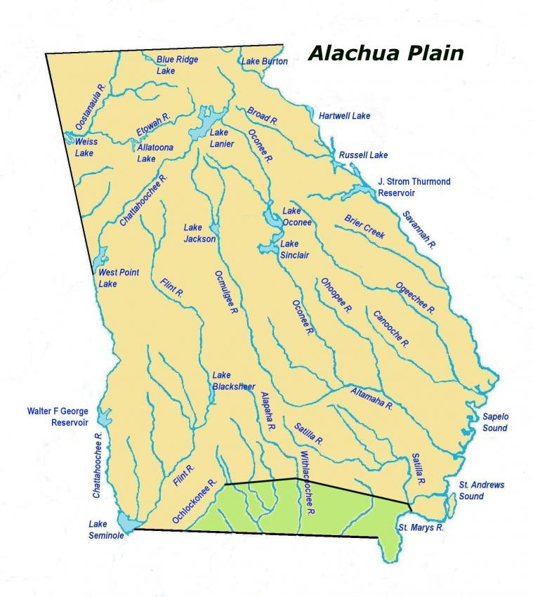 alachuaplainles2.jpg