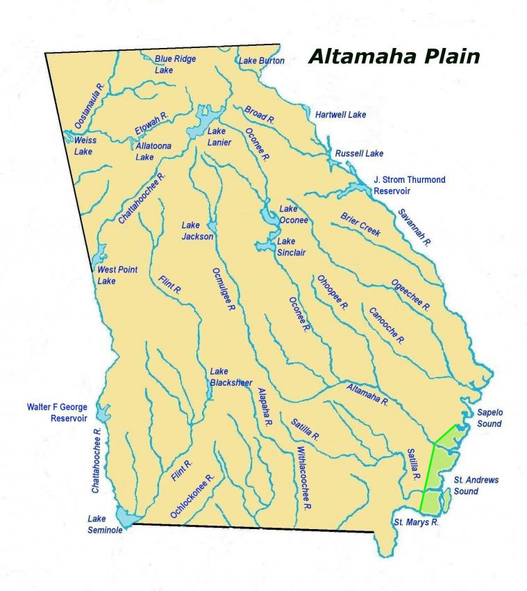 altamahaplainles2.jpg