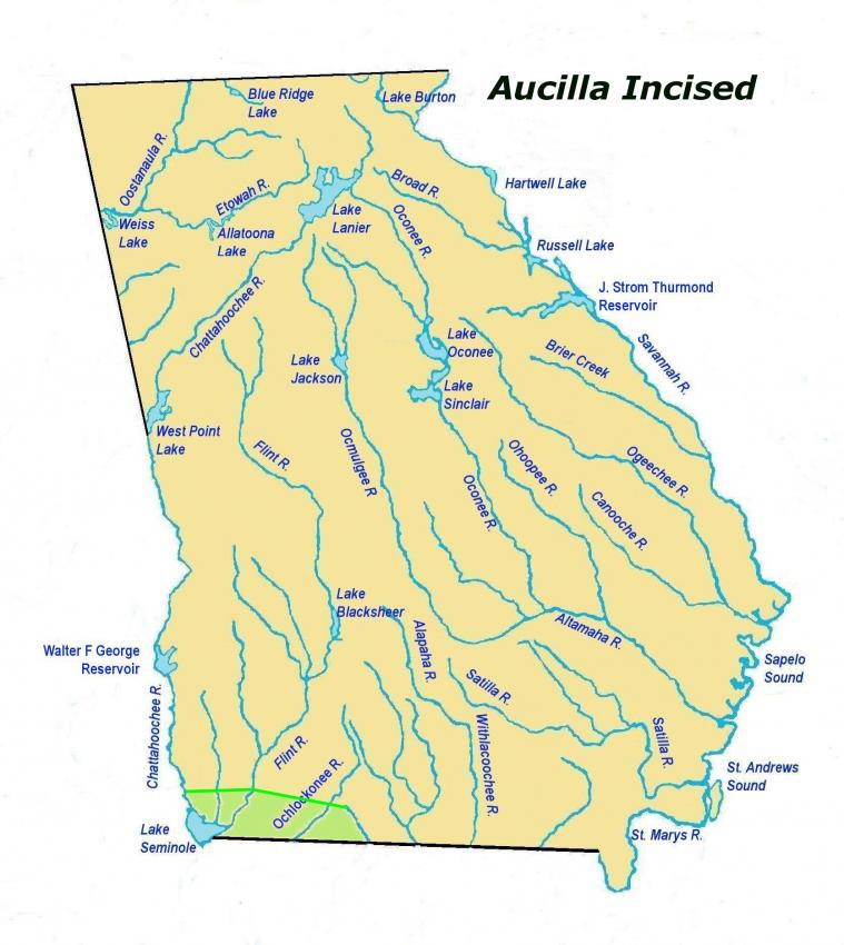 aucillaincisedles2.jpg