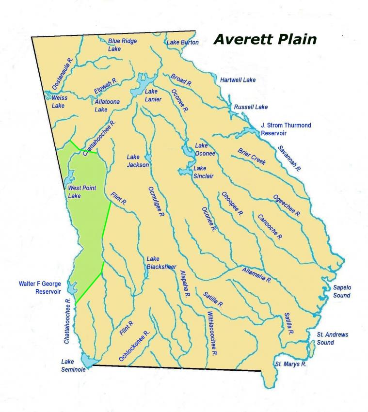 averettplainles2.jpg