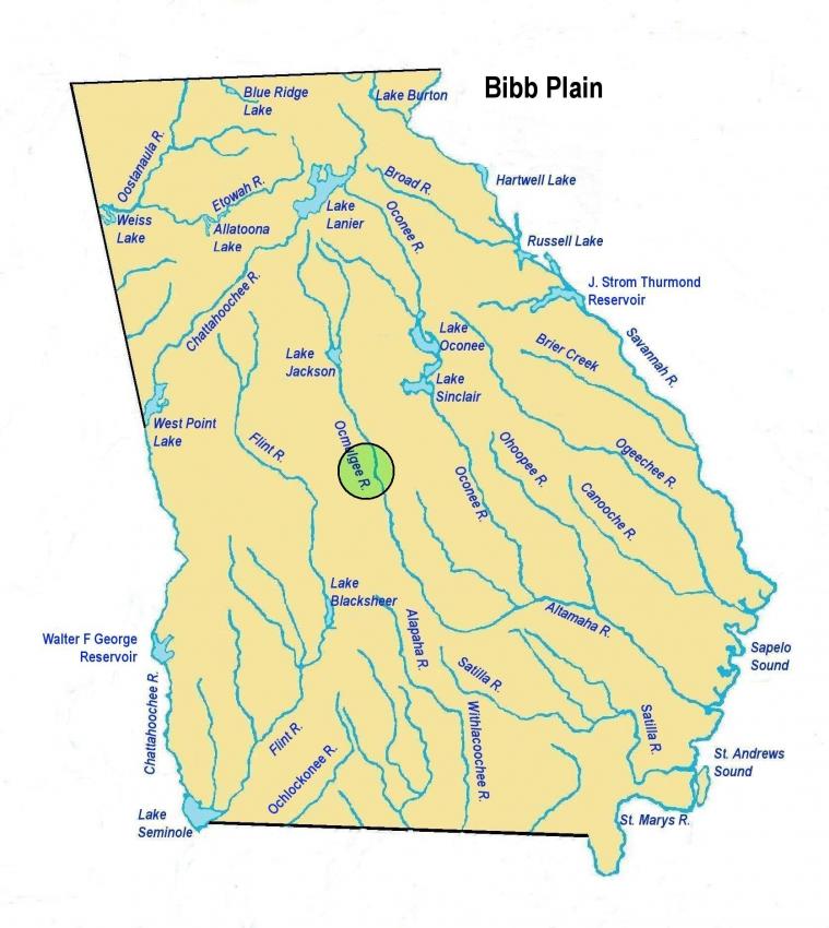 bibbplainls.jpg