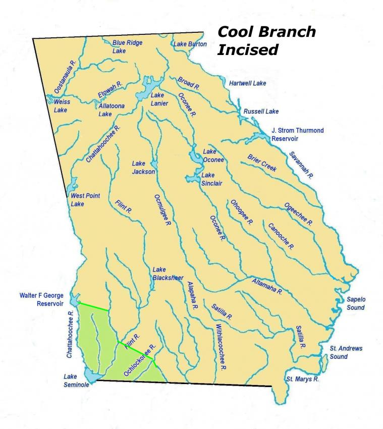 coolbranchincisedles.jpg