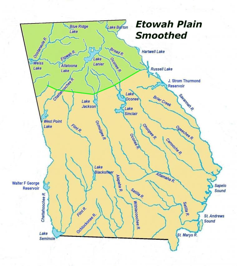 etowahplainsmoothedles2.jpg