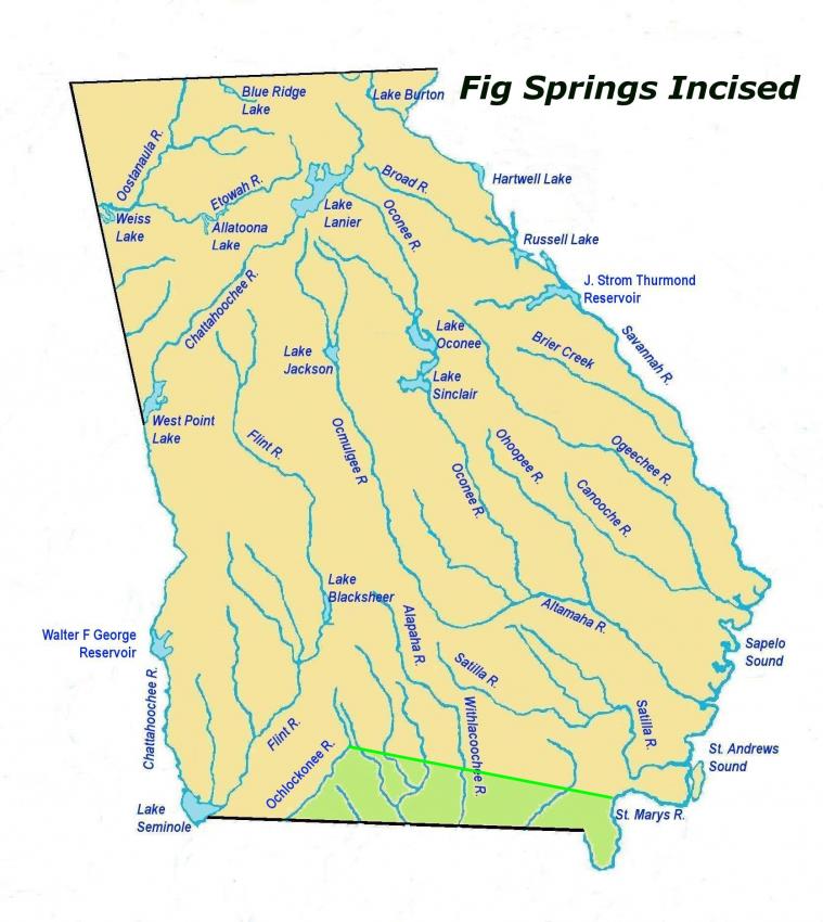 figspringsincisedles2.jpg