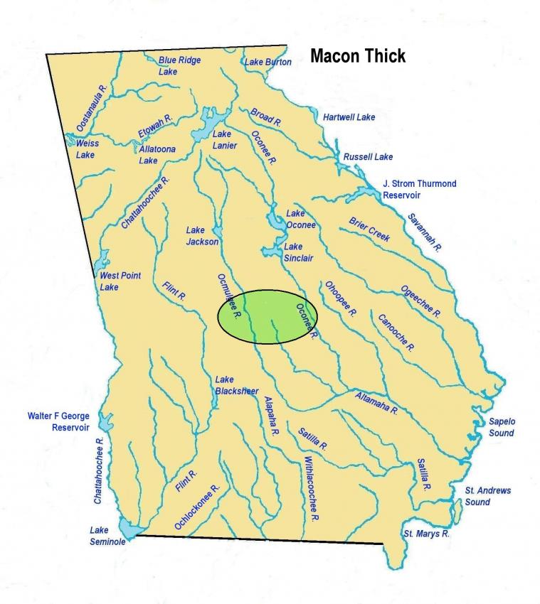 maconthickls.jpg