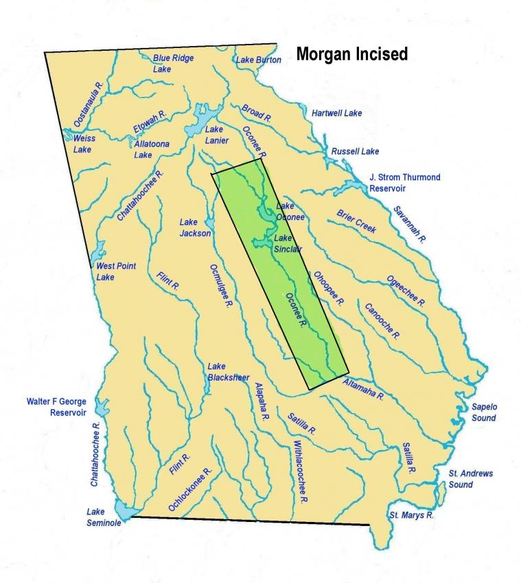 morganincisedls.jpg