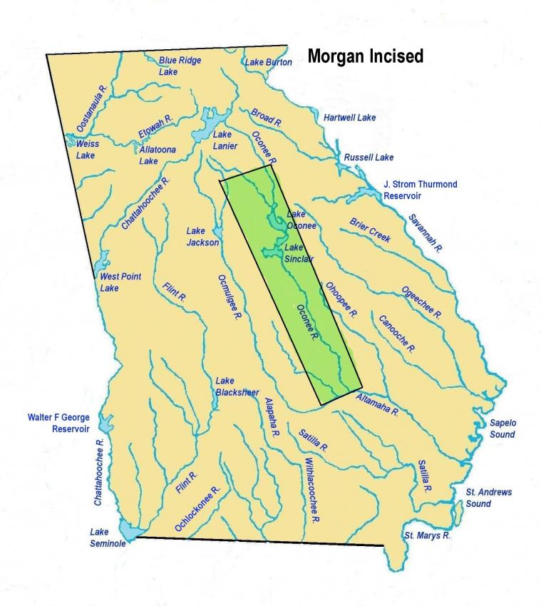 Morgan Incised | UGA Archaeology