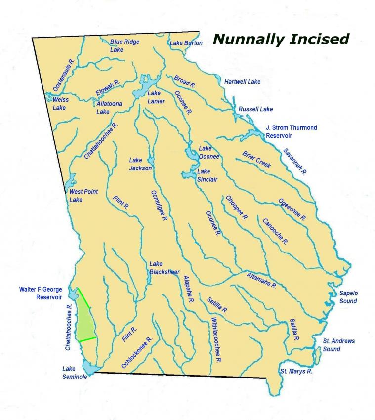 nunnallyincisedles2.jpg