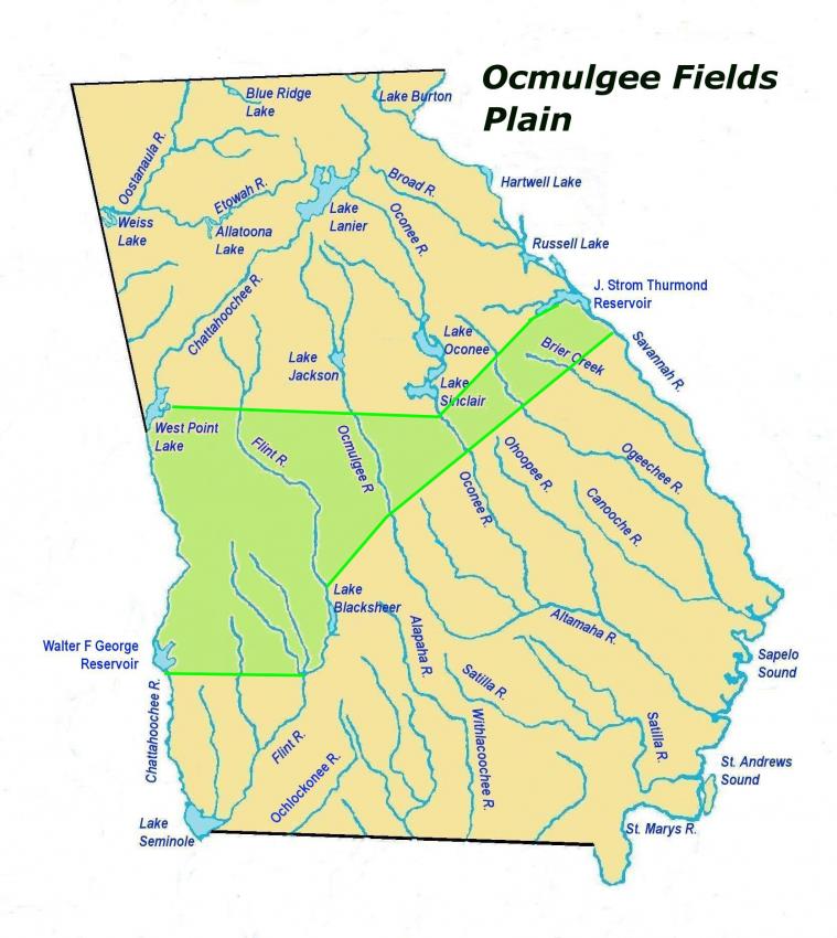 ocmulgeefieldsplainles2.jpg