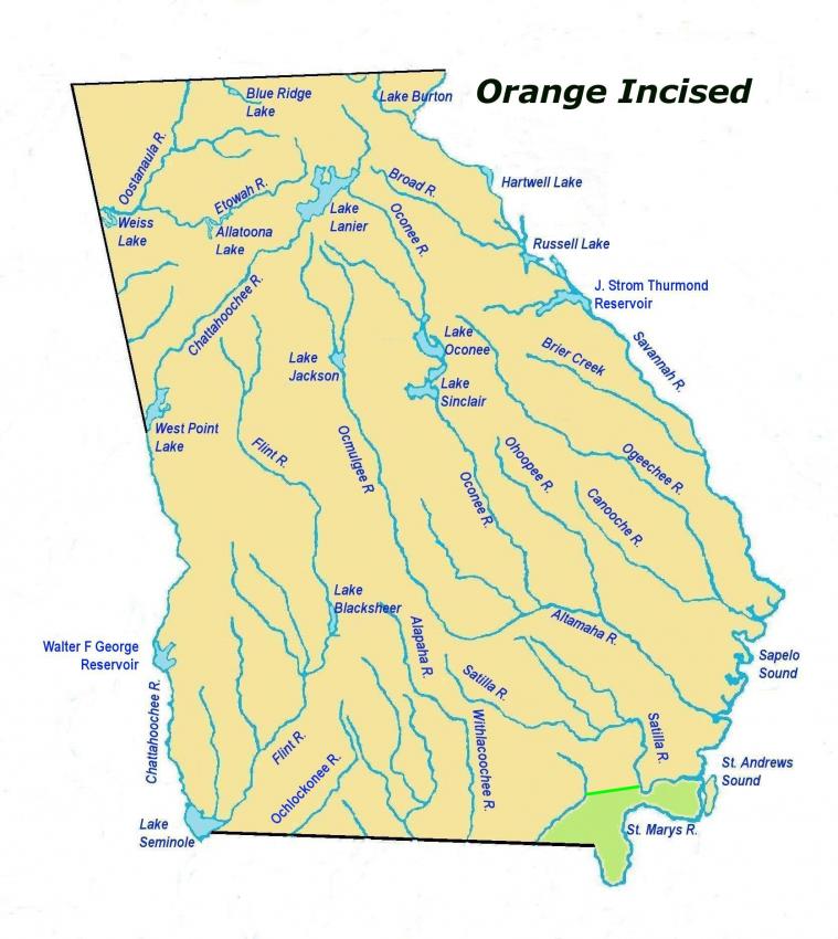 orangeincisedles2.jpg