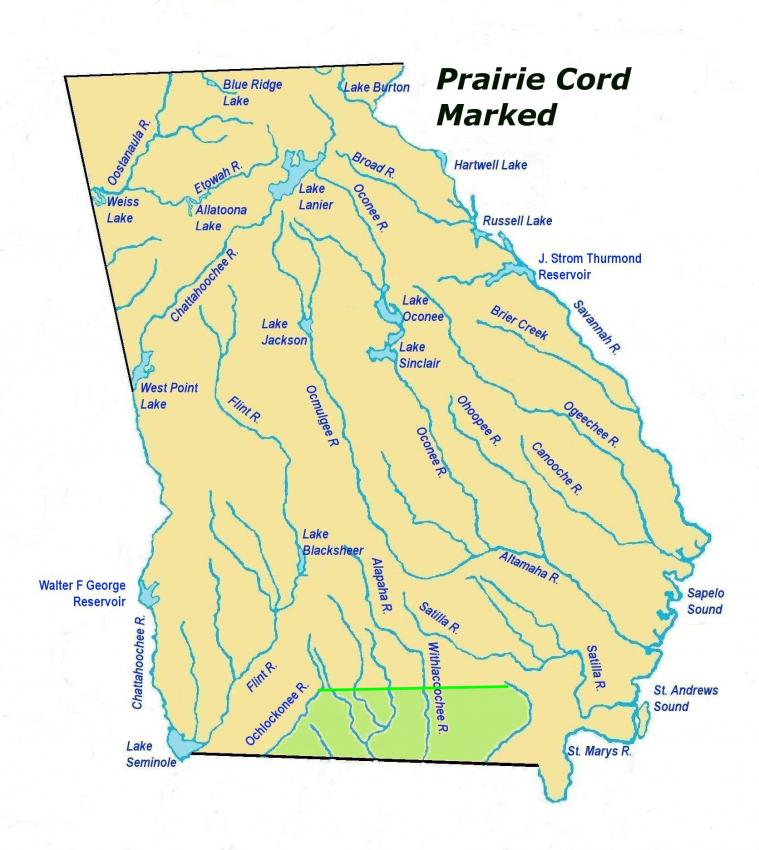 prairiecordmarkedles2.jpg