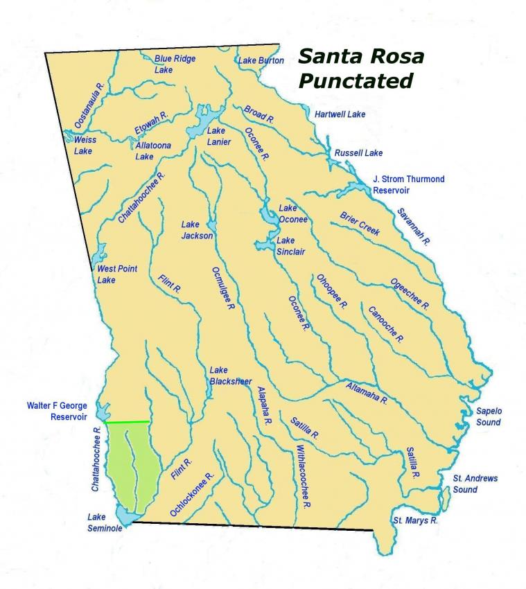 santarosapunctatedles2.jpg
