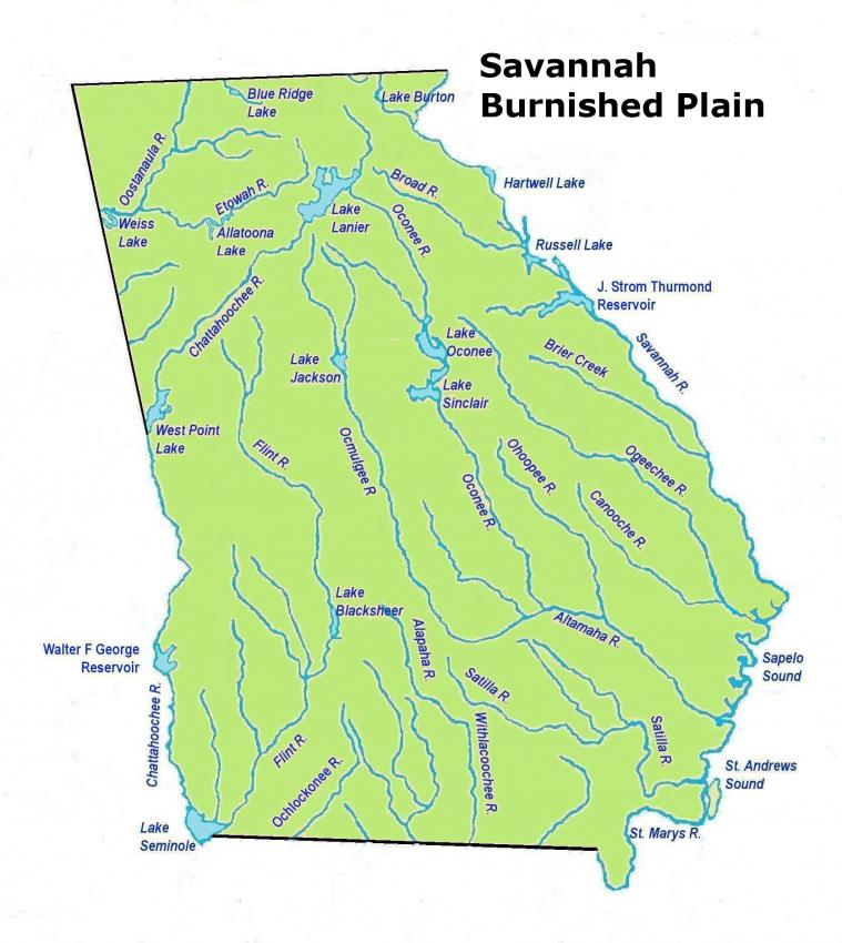 savannahburnishedplainles.jpg