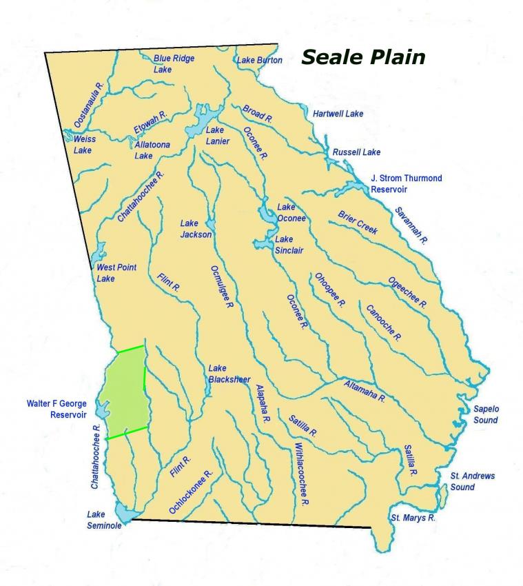 sealeplainles2.jpg