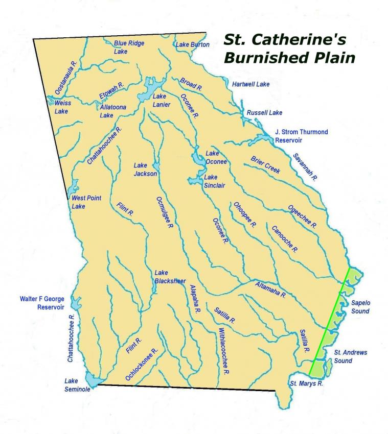 stcatherinesburnishedplainles2.jpg