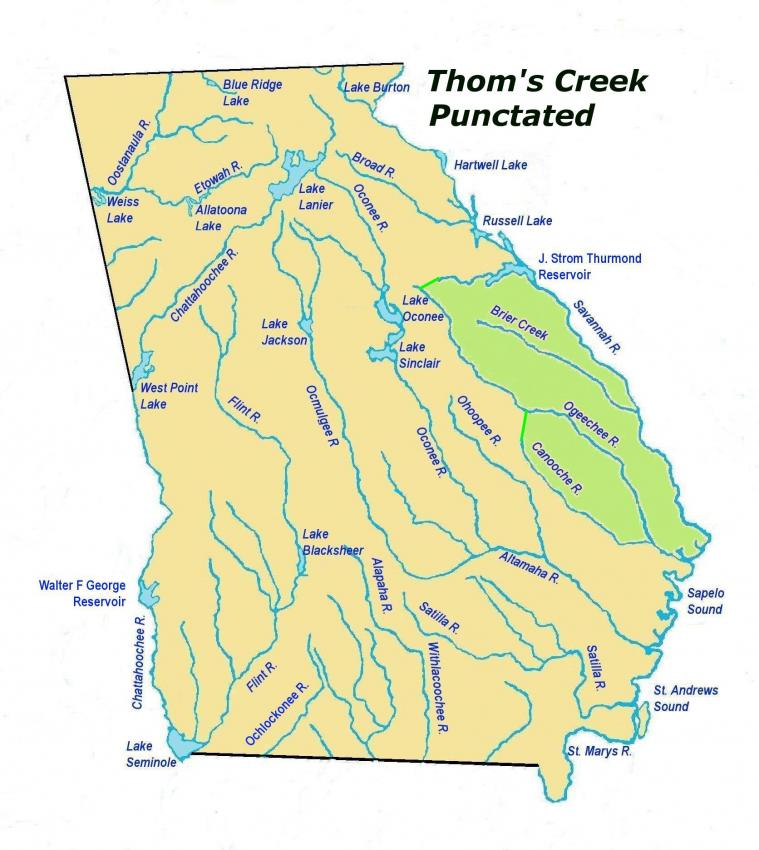 thomscreekpunctatedles2.jpg