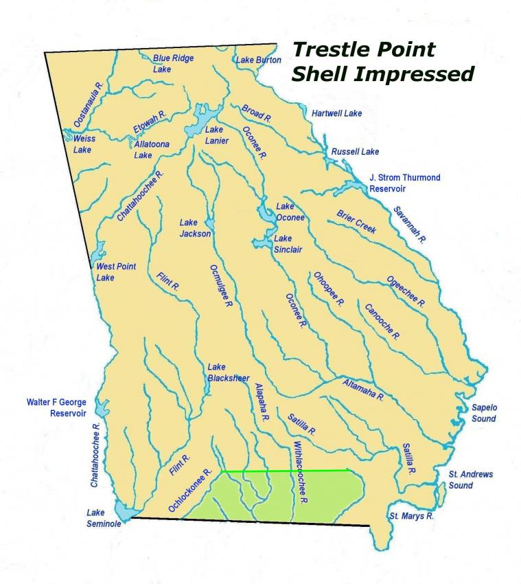 trestlepointshellimpressedles2.jpg