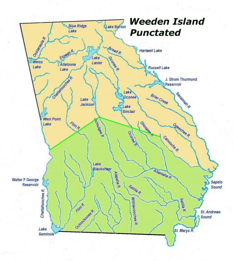 weedenislandpunctatedles2.jpg