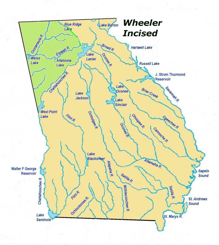 wheelerincisedles2.jpg