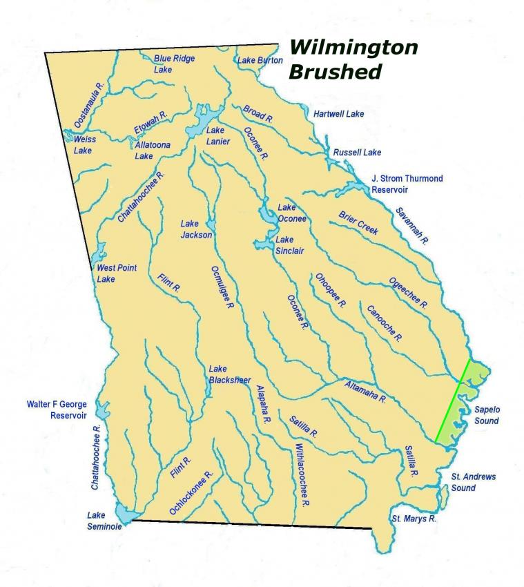 wilmingtonbrushedles2.jpg