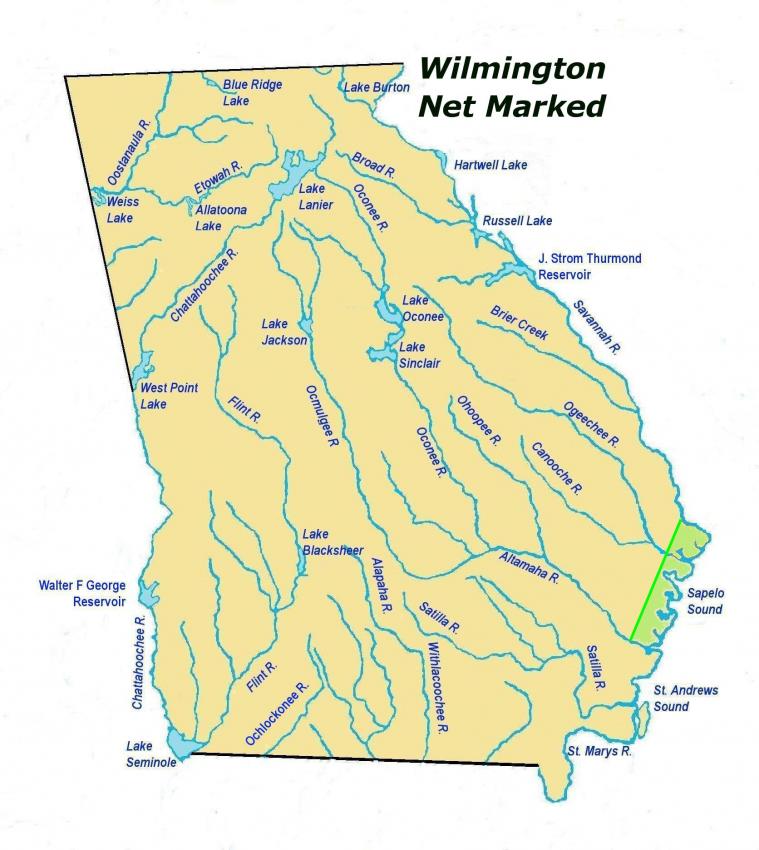 wilmingtonnetmarkedles2.jpg