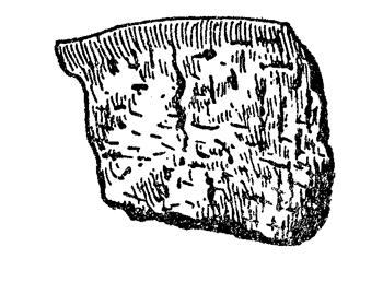 alachuacobmarked.jpg