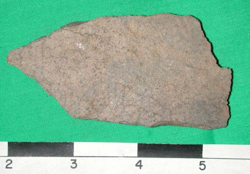 alachuaplainfmnh_9131468ls.jpg