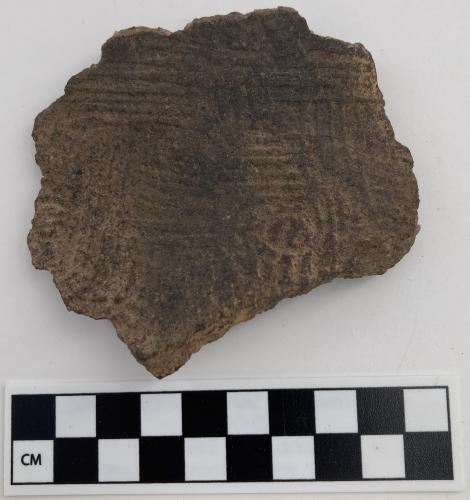 Color photo, 1 Indigenous ceramic fragment with vertical and horizonal lined stamp impressions and light circular depressions.