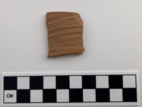 Color photo, 1 Indigenous ceramic fragment with lined stamp impressions.