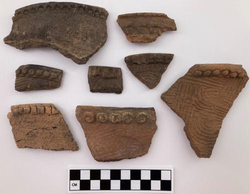 Color photo, 8 Indigenous ceramic rim fragments exhibiting various manufacture designs, such as punctuations, applique strips, and rosettes.