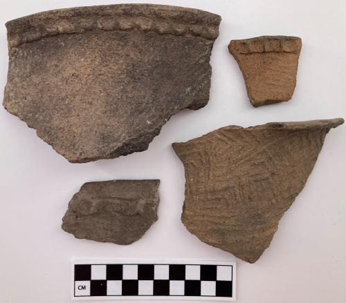 Color photo, 4 Indigenous ceramic rim fragments with applique impressions, the body of the fragments have both rough curvilinear and lined stamp indentations. 