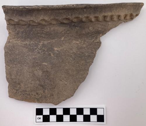 Color photo, 1 Indigenous ceramic rim, neck, and shoulder fragment with an applique rim and faint curvilinear and lined stamp impressions along the body.