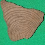 indianpass_incisedfmnh_9131149les.jpg