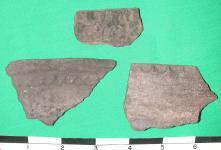 lakejacksonplainfmnh9131748207247les.jpg