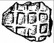 leoncheckedstamped.jpg