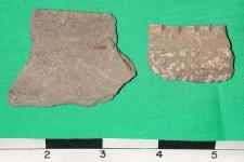 pinellas_plain_fmnh_9131208pot29.jpg