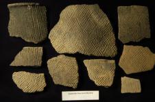 savannah_fine_cord_marked.jpg