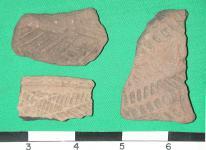 standrewscomplicatedstampedfmnh913183913184les.jpg