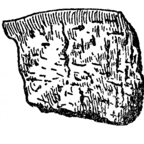 alachuacobmarked.jpg