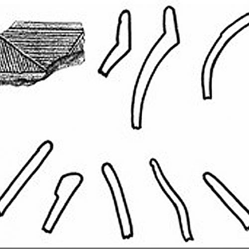carrabelleincised1.jpg