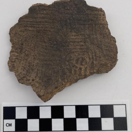 Color photo, 1 Indigenous ceramic fragment with vertical and horizonal lined stamp impressions and light circular depressions.